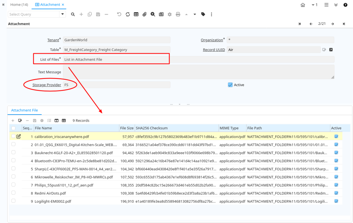Attachment File Tab in Attachment Window